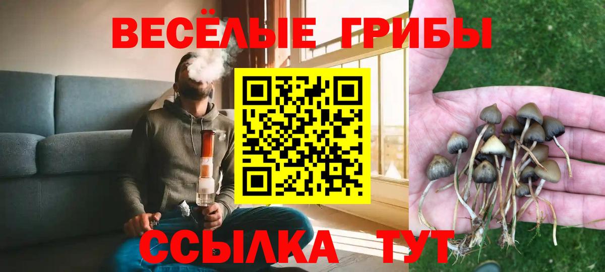 Псилоцибиновые грибы ЛСД Жигулёвск