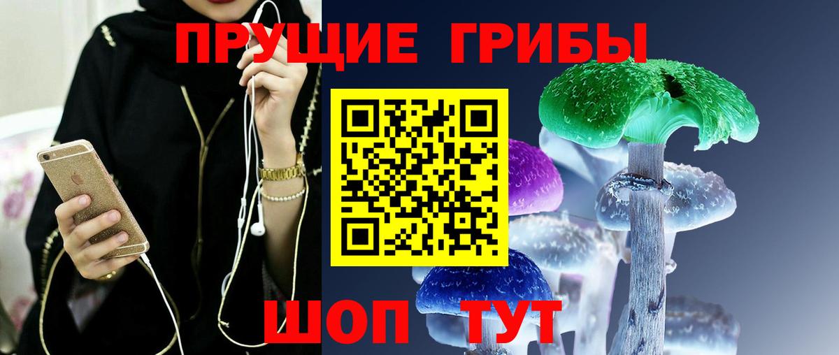 Жигулёвск  Псилоцибиновые грибы мухоморы  Вход с VPN 